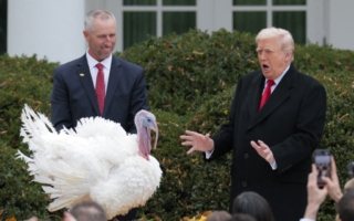 川普赦免火鸡 “咕咕叫”热烈回应 视频曝光