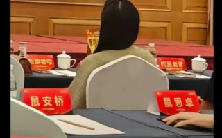 员工入职“三只松鼠”须改姓鼠 规定引争议