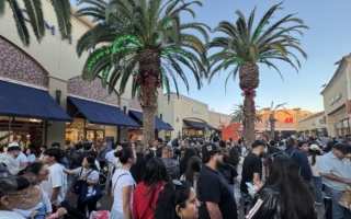 折扣带动黑五买气 网购强劲 实体店回温