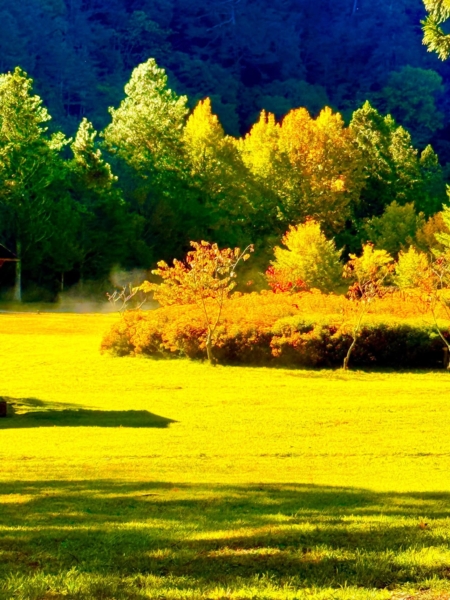 用光來寫故事,照片構圖更容易了。