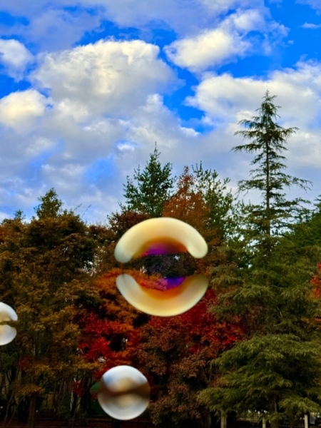 天空仍藍,秋季冷暖交鋒天雲層散著走。