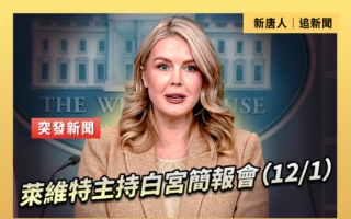 【直播】萊維特主持白宮簡報會（12/1）