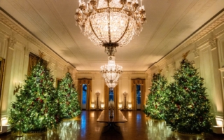 2025年白宮和國會聖誕樹週四點燈