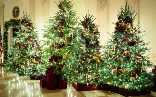 川普下令新增两联邦假日 您会获得带薪休假？