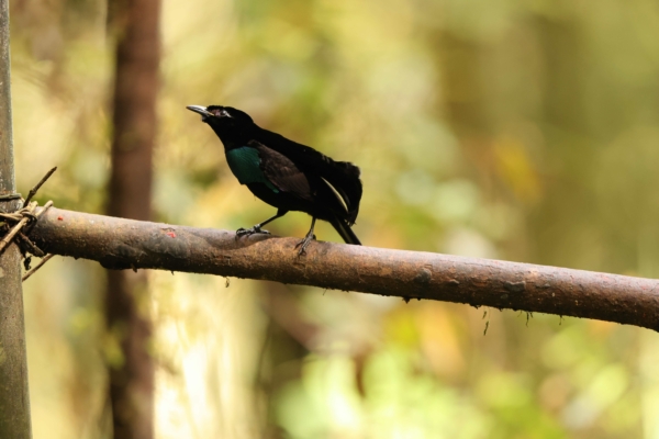 有史以來最黑布料面世 宛如身穿「黑洞」