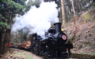 中共控管大陆客 台湾观光转多元经营 降低依赖