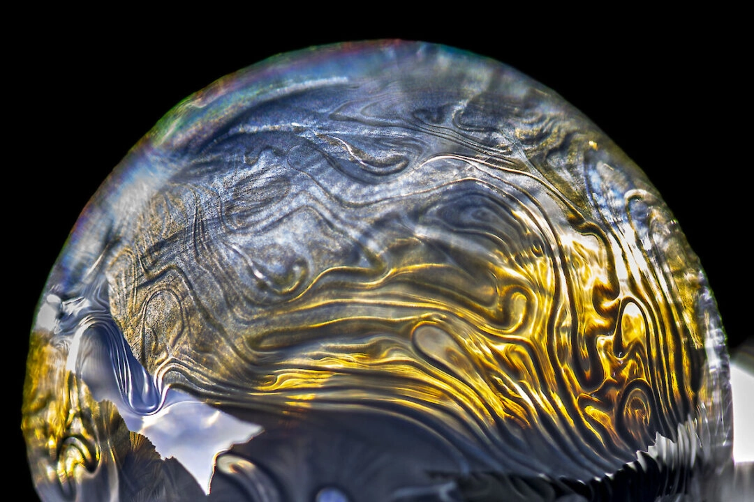 【圖輯】南極冰雪世界里的美麗氣泡