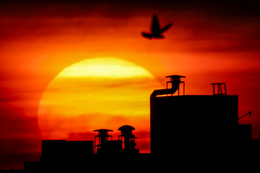 【名家專欄】警惕中共在科威特擴張影響力