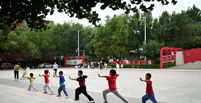 中国富豪谋求在美代孕生娃 目标是上百个