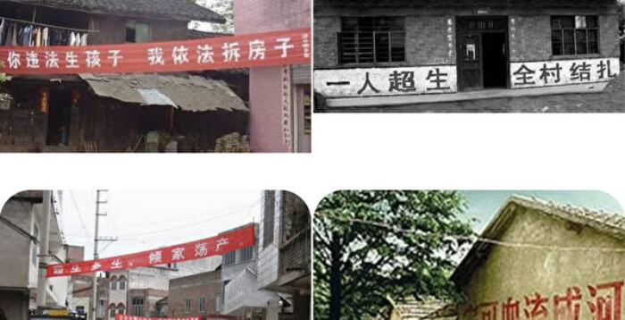 彭小梅:一个国家是如何对生命冷酷