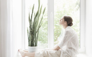 虎尾蘭可淨化空氣 如果讓它快速生長?