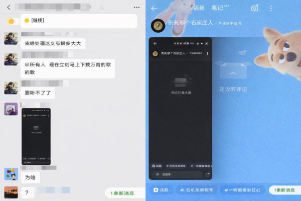 萬能青年旅店歌曲評論區被封 平台管理惹疑