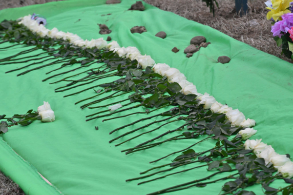 華府空難法庭文件:美政府承認FAA與陸軍失職