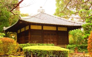 日本文化中的「侘寂」是啥？如何應用？