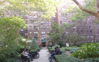 紐約華男因毒品矯治縮短刑期 提前出獄兩月後涉殺害母親