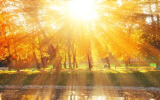 �ֻ�ת�� ���˼�ʵ : ������Ȧ���־���