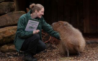 組圖：倫敦動物園年度盤點 數千動物逐個數