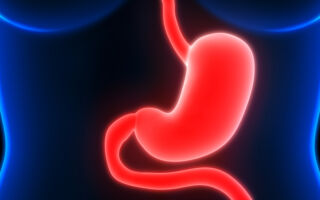 為什麼胃酸不會灼傷胃部？ 專家釋疑