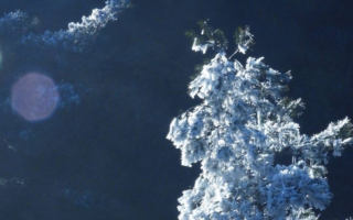 麥立的百寶箱：凍