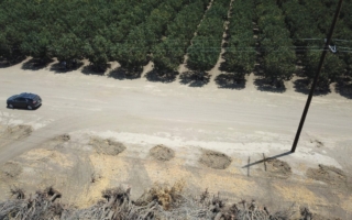 農業公司CEO：加州農地投資暗藏風險