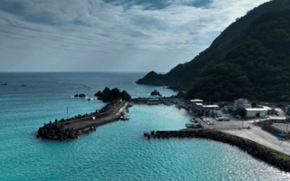 转弯之后的蓝 粉鸟林的另一种看见