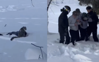 遊客在新疆遭雪豹咬傷 血流披面