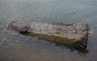 美國小城多年謎團：河面木頭上有3輛自行車