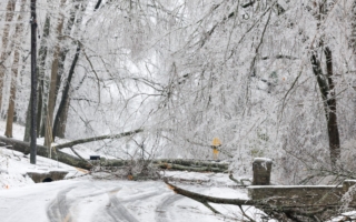 如果遭遇突如其來的停電 你該怎麼做