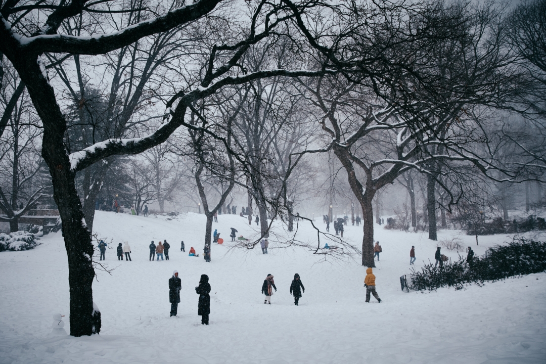 2026年1月25日,紐約市(New York City),民眾於降雪期間在中央公園活動。一場大規模冬季風暴正為美國帶來嚴寒、結冰與降雪。 (Andres Kudacki/Getty Images)