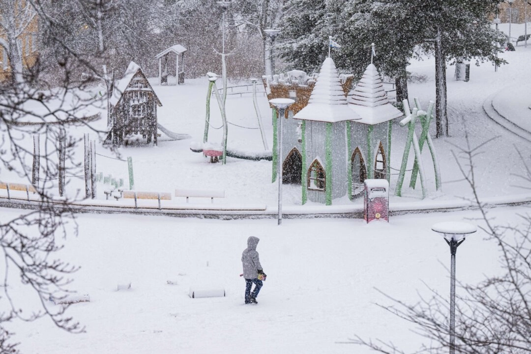 【名家專欄】瑞典迎來充滿變數的大選之年