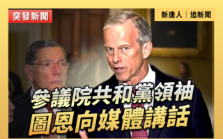 【重播】參議院共和黨領袖圖恩向媒體講話