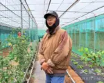 把风沙变菜园 通梁古榕旁友善农的十年慢耕