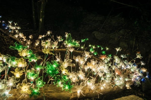 屏東高樹「奇幻大津」2月5日揭幕劉冠廷回鄉開箱體驗夜光森林