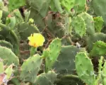 走进小门地质探索馆 遇见还在坚持的红色滋味