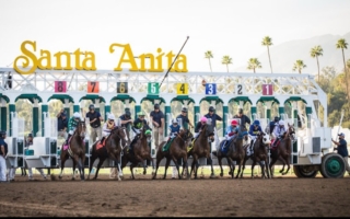 聖安妮塔賽馬場迎新禧 好戲連台展龍馬精神