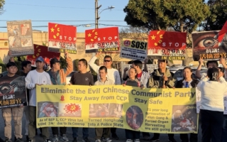 中國孩童頻失蹤疑遭活摘 洛城華人遊行傳真相