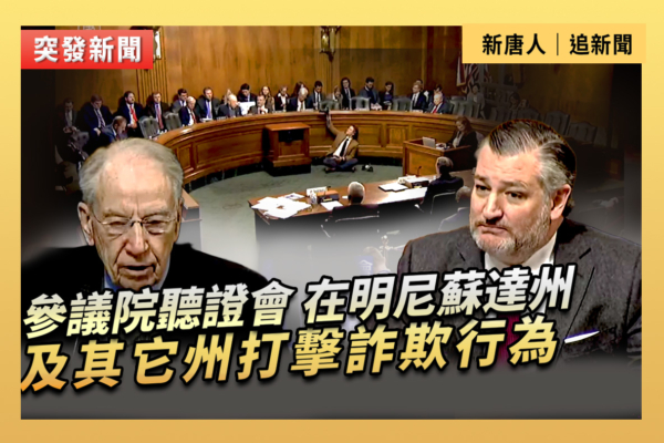 【直播】審議明尼蘇達州及其它州打擊詐欺行為