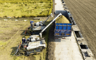 战争预警？中共死守粮食安全