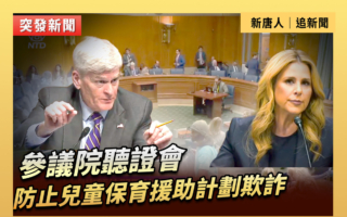 【直播】聽證會：防止兒童保育援助計劃欺詐