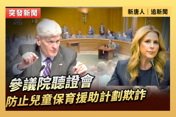 【直播】聽證會：防止兒童保育援助計劃欺詐