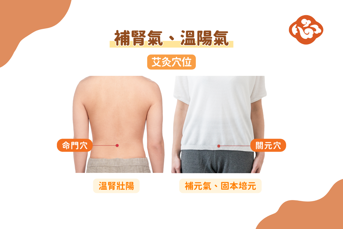 艾灸命門與關元有助於溫補腎氣、陽氣。(醫道心傳製作組製圖)