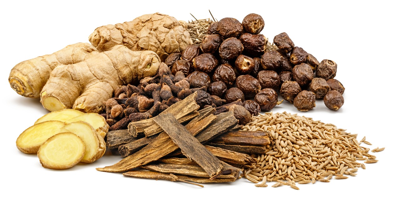 生薑、砂仁、丁香、桂皮與茴香的組合,體現了溫中散寒與和胃止嘔的思路。(大紀元製圖)