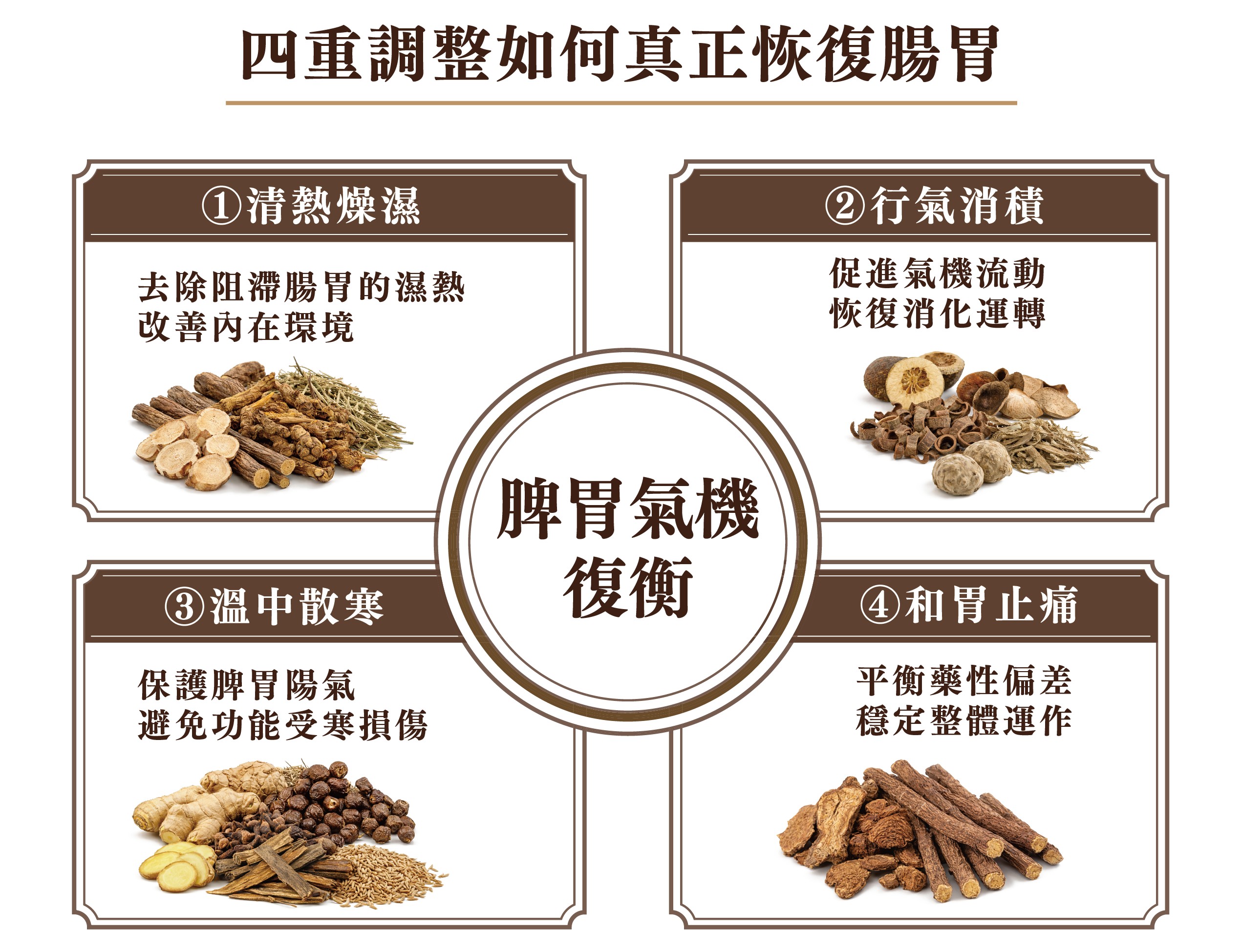 從四個面向看和歌保命丸的草本組合,如何一步步調理脾胃、恢復腸胃運作(大紀元製圖)