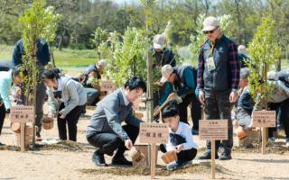 賴清德植樹節倡「都市林」國家計畫　