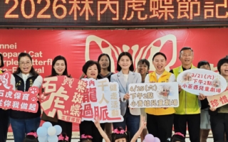 春遊林內賞紫蝶護石虎 2026虎蝶節3月21日登場