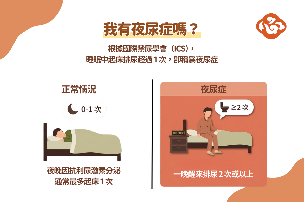 大部分人晚上通常最多只會起床上廁所一次。每晚超過2次,且影響睡眠品質,通常被定義為夜尿症。(醫道心傳製作組製圖)