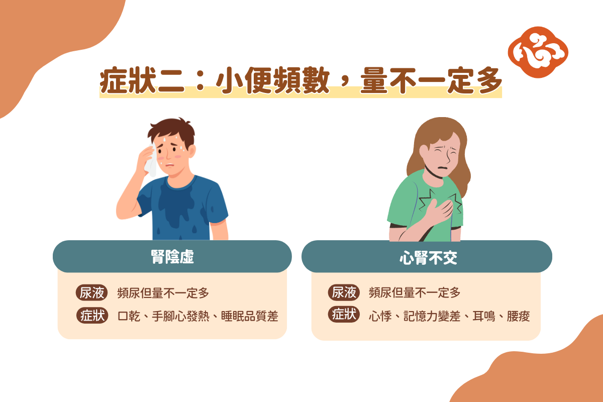小便頻數,量不一定多,可能是腎陰虛或心腎不交體質。(醫道心傳製作組製圖)
