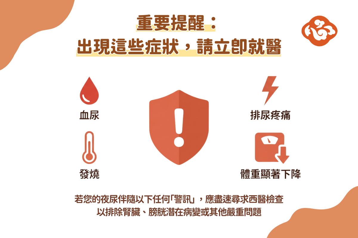 若夜尿同時伴有血尿、排尿疼痛、發燒,或近期體重顯著下降症狀,建議盡速就醫。(醫道心傳製作組製圖)