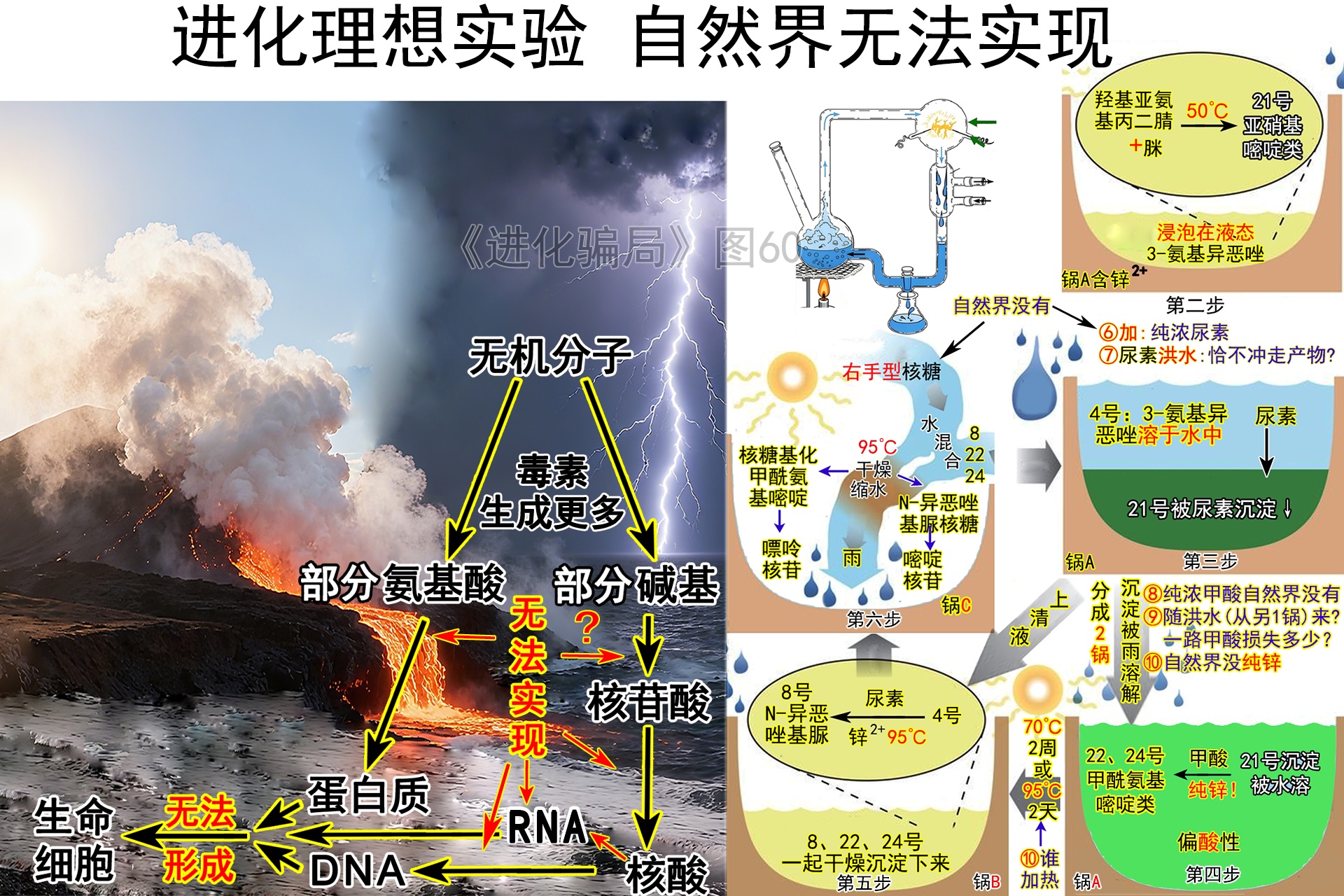 進化騙局（18） 進化實驗 假冒自然