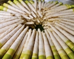 春季山林美味 低卡高纤养生圣品 桂竹笋尝鲜趁当季
